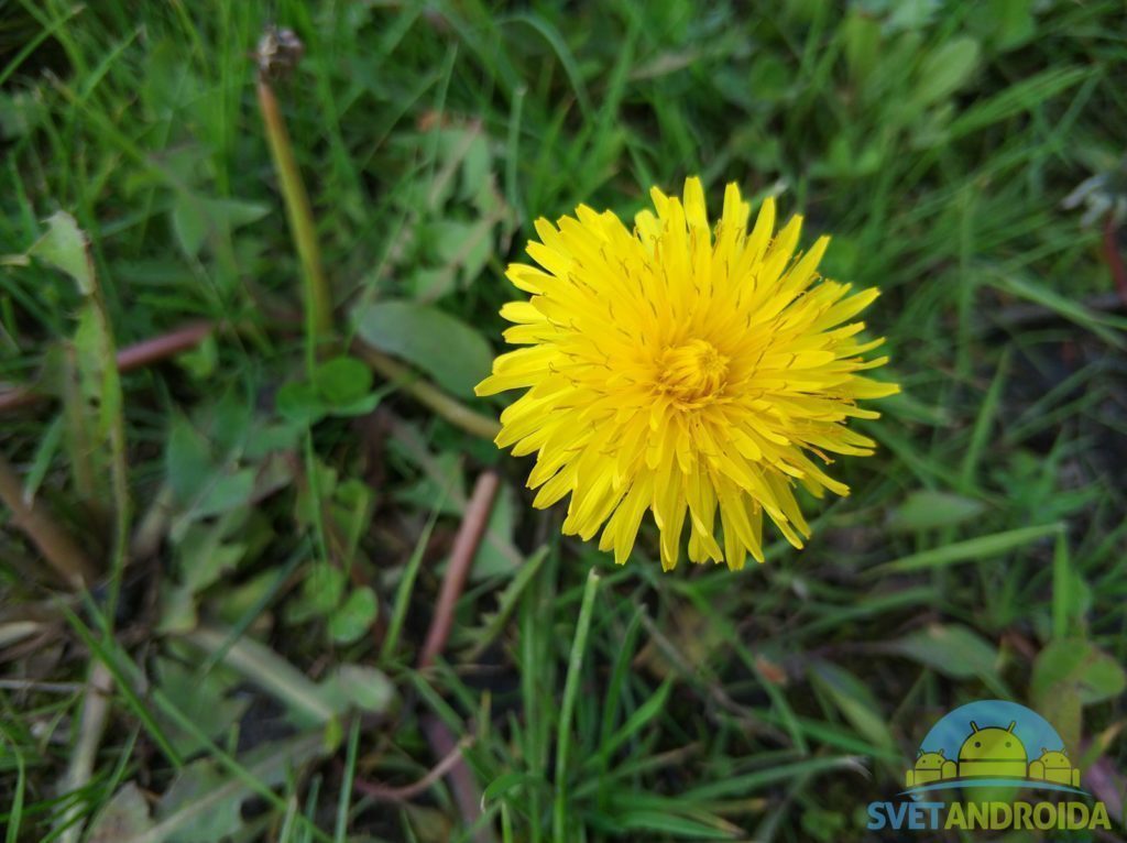 Xiaomi Mi6 fotografie zoom 1