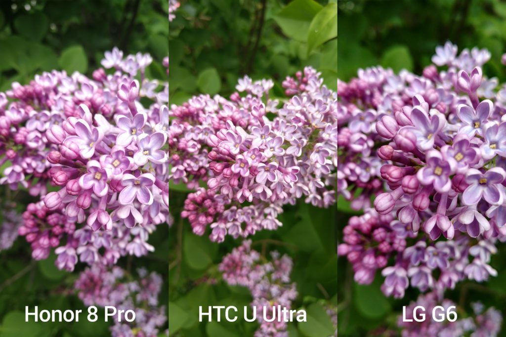 porovnani foto Honor vs HTC vs LG 1