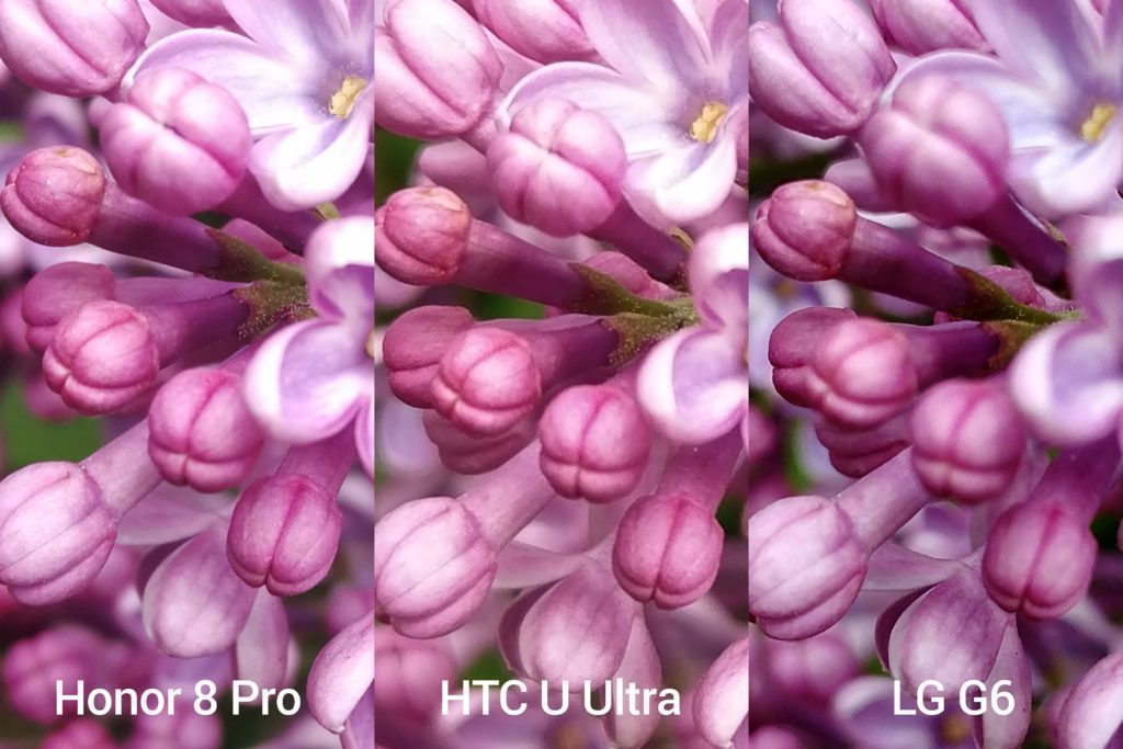 porovnani foto Honor vs HTC vs LG 2