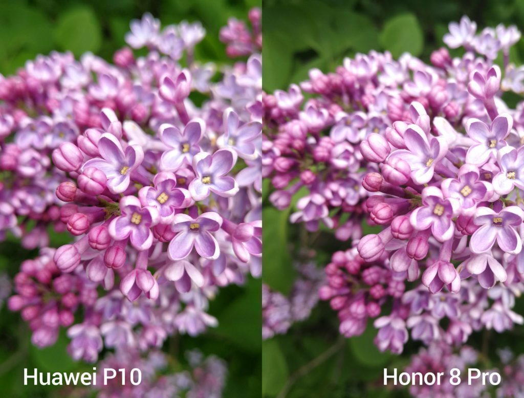 porovnani foto P10 vs 8 Pro 1