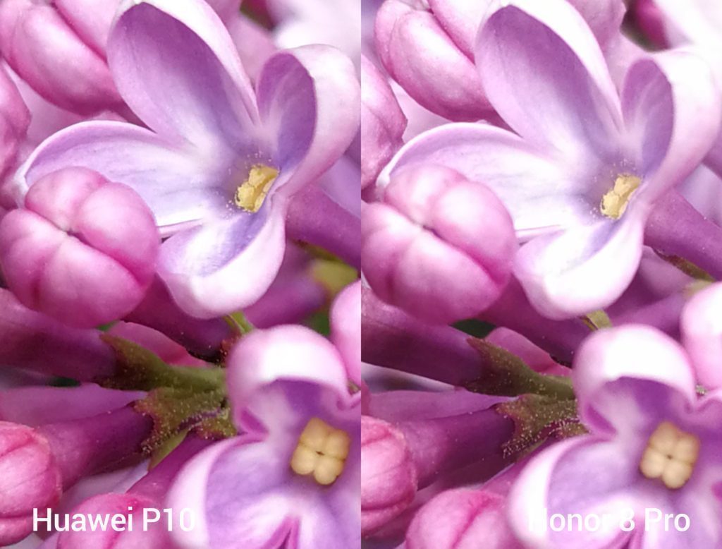 porovnani foto P10 vs 8 Pro 2