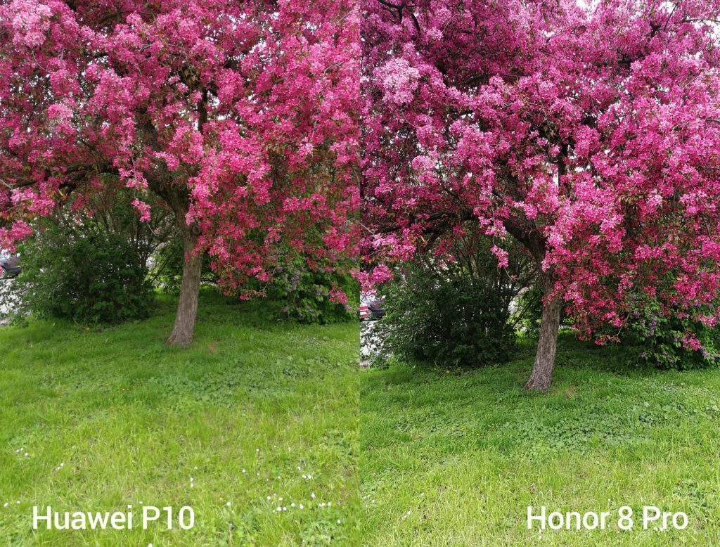 porovnani foto P10 vs 8 Pro 3
