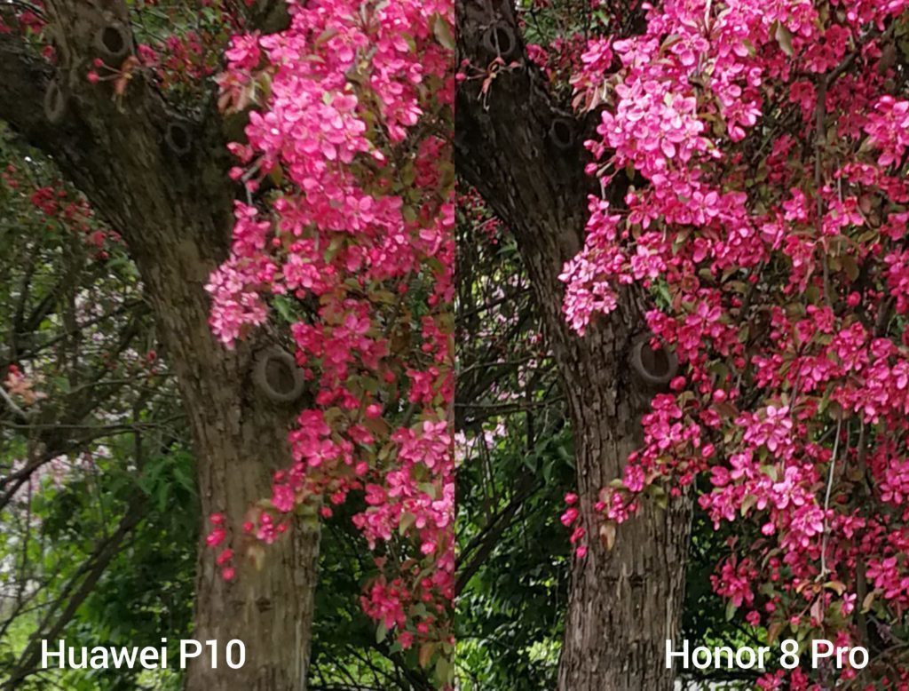 porovnani foto P10 vs 8 Pro 4