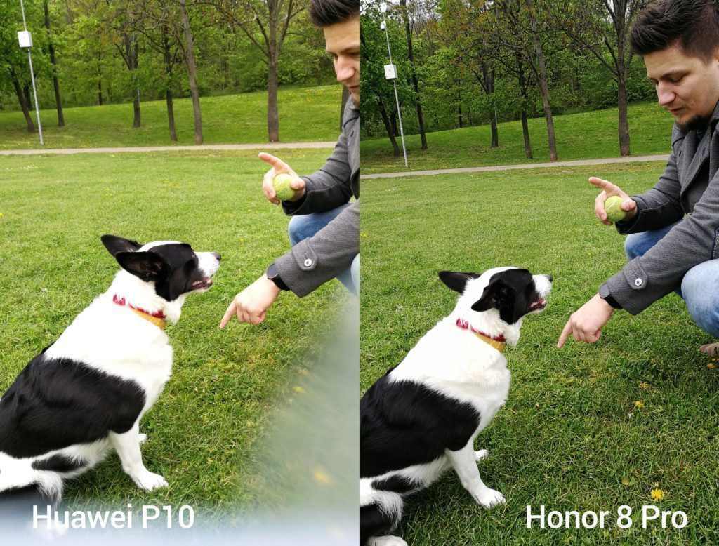 porovnani foto P10 vs 8 Pro 5