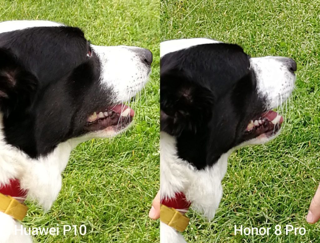 porovnani foto P10 vs 8 Pro 6