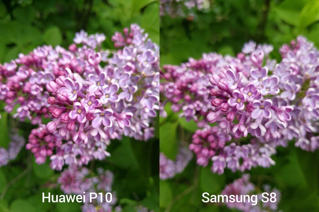 porovnani foto P10 vs S8 14