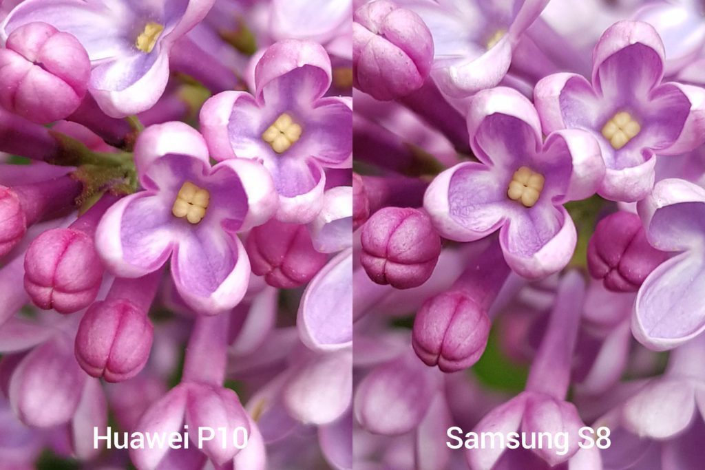 porovnani foto P10 vs S8 15
