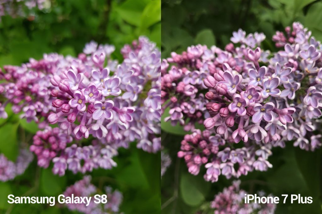 porovnani foto S8 vs iP 7 P 1