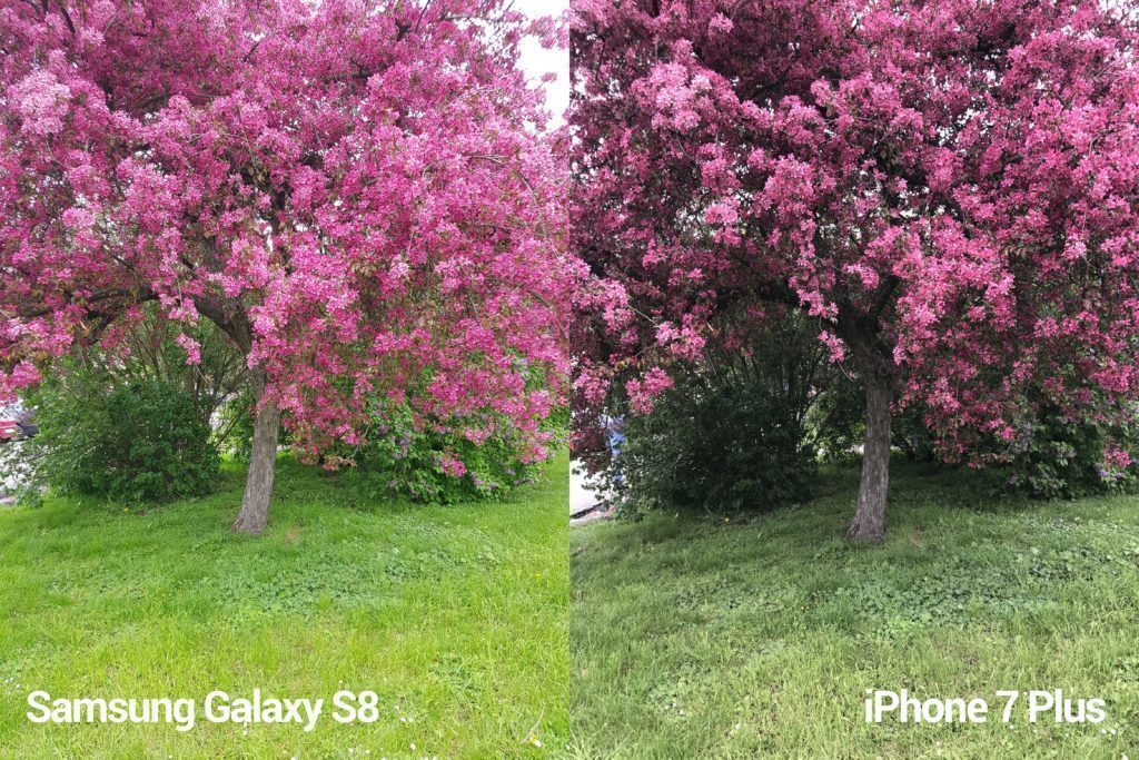 porovnani foto S8 vs iP 7 P 2