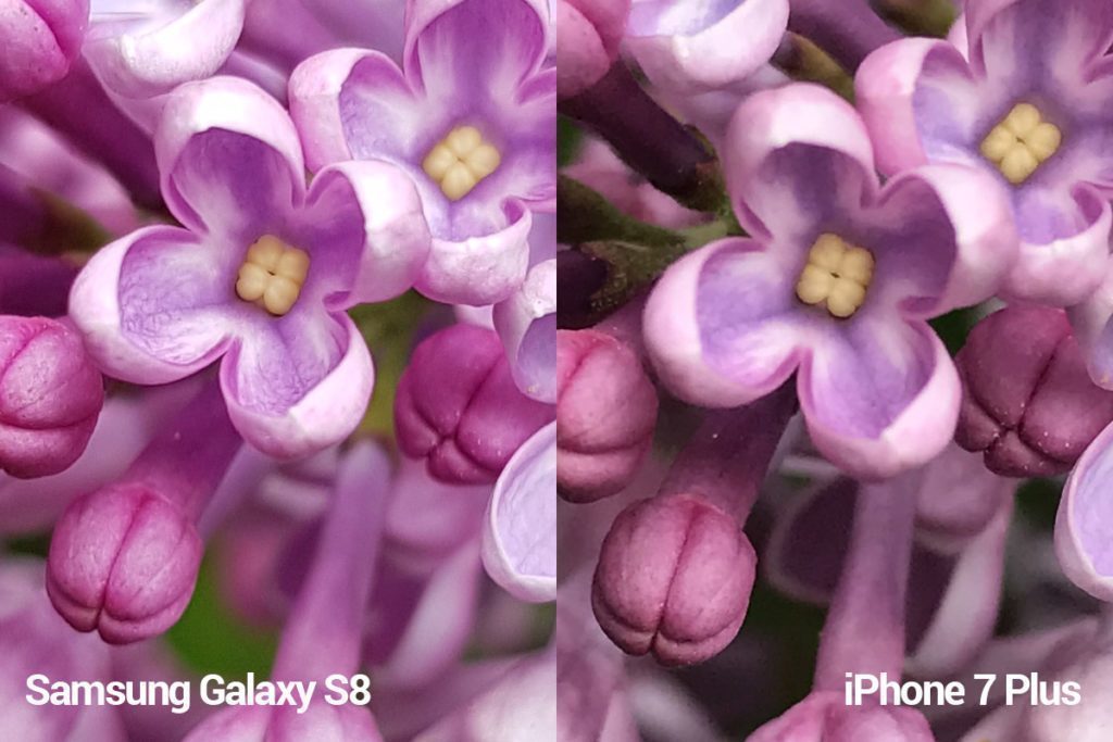 porovnani foto S8 vs iP 7 P mini 1
