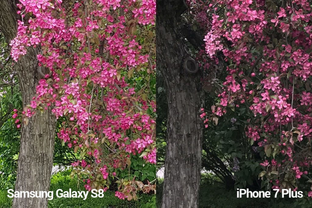 porovnani foto S8 vs iP 7 P mini 3