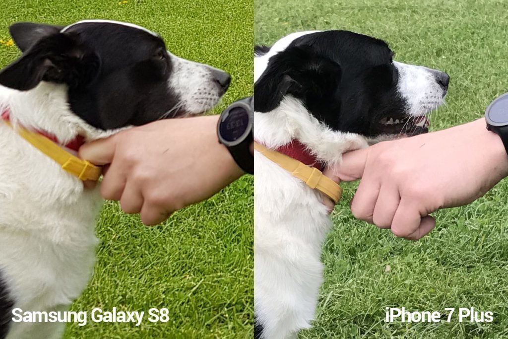 porovnani foto S8 vs iP 7 P mini 4