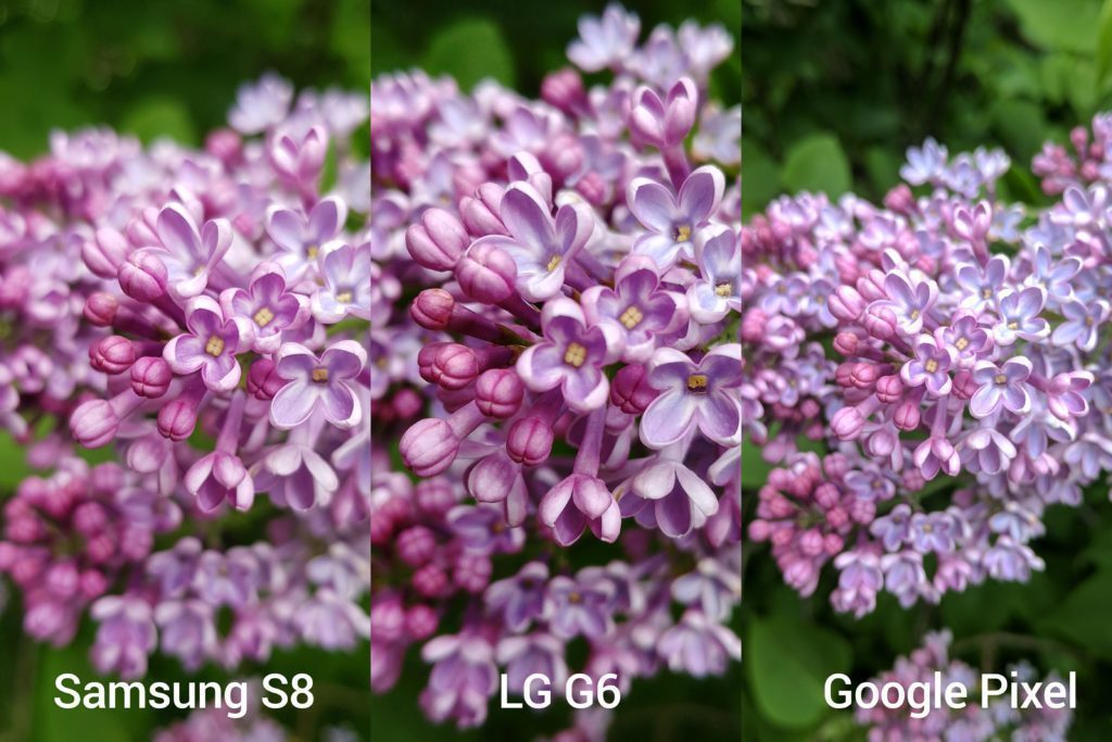 porovnani foto s8 vs G6 vs Pixel 1