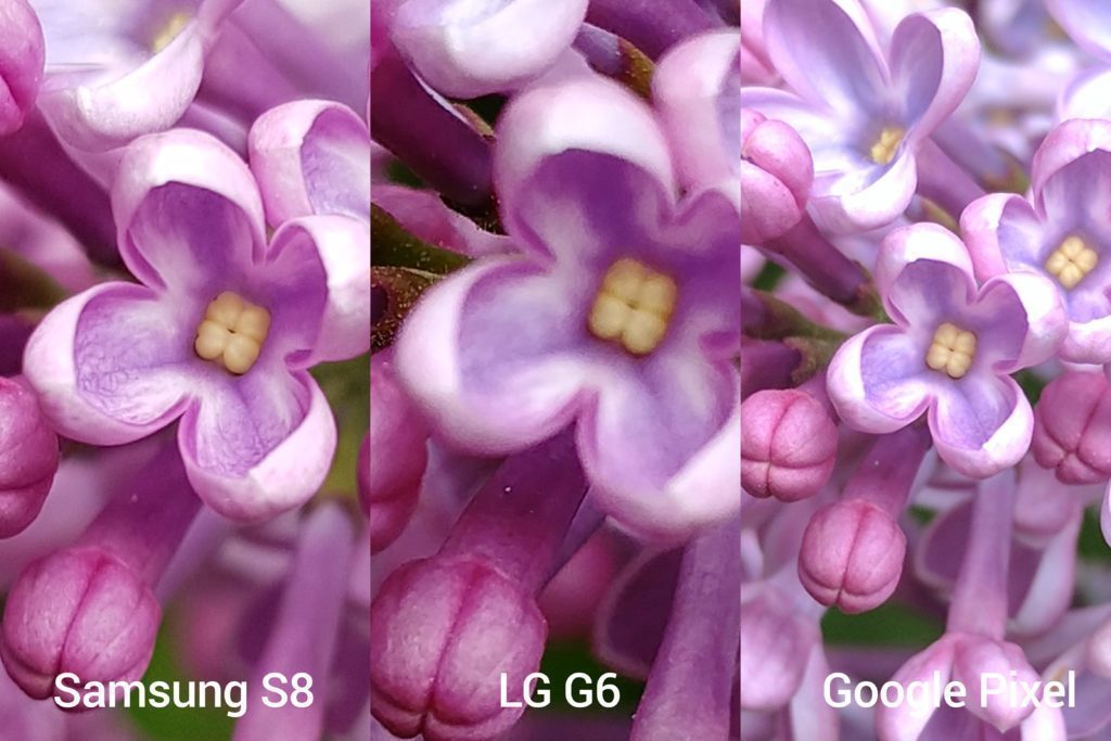porovnani foto s8 vs G6 vs Pixel 2