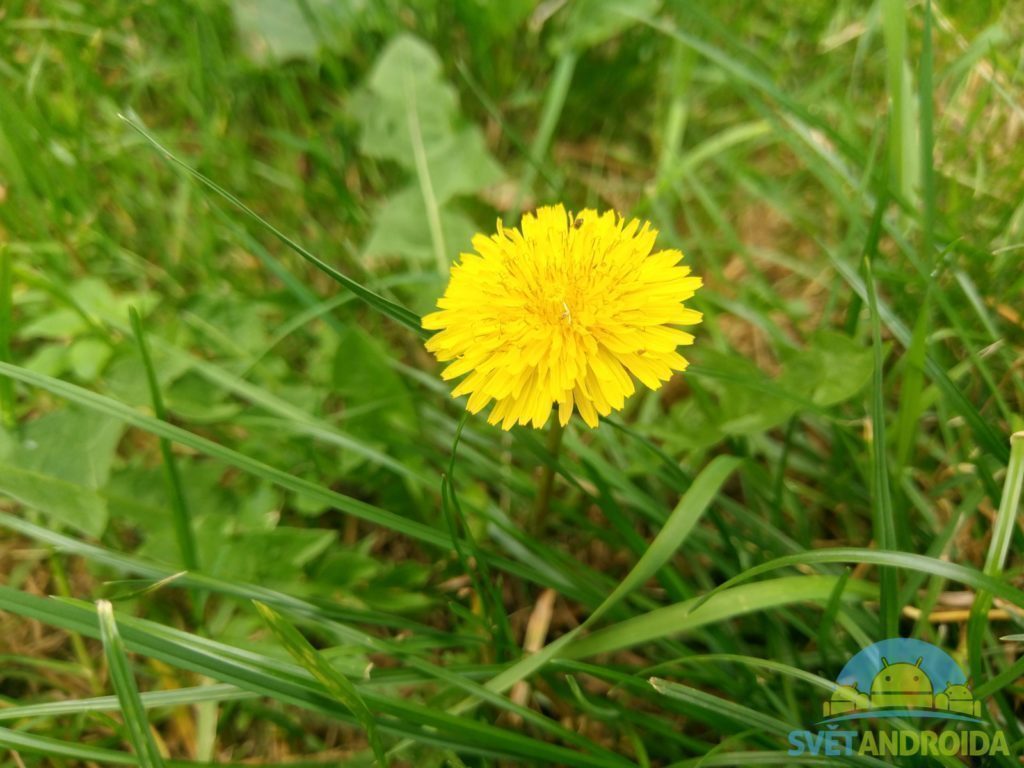 HTC 10 porizene fotografie 9