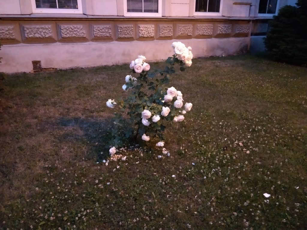 OnePlus 5 ukazkova fotografie 3