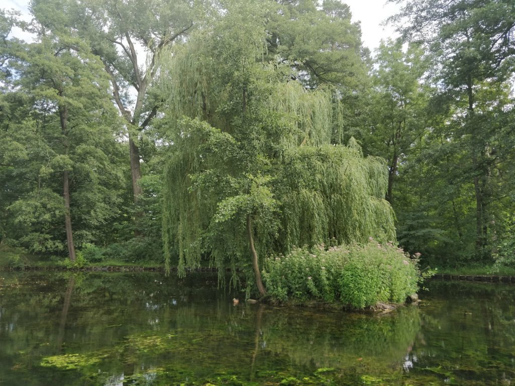 OnePlus 5 ukazkova fotografie 7