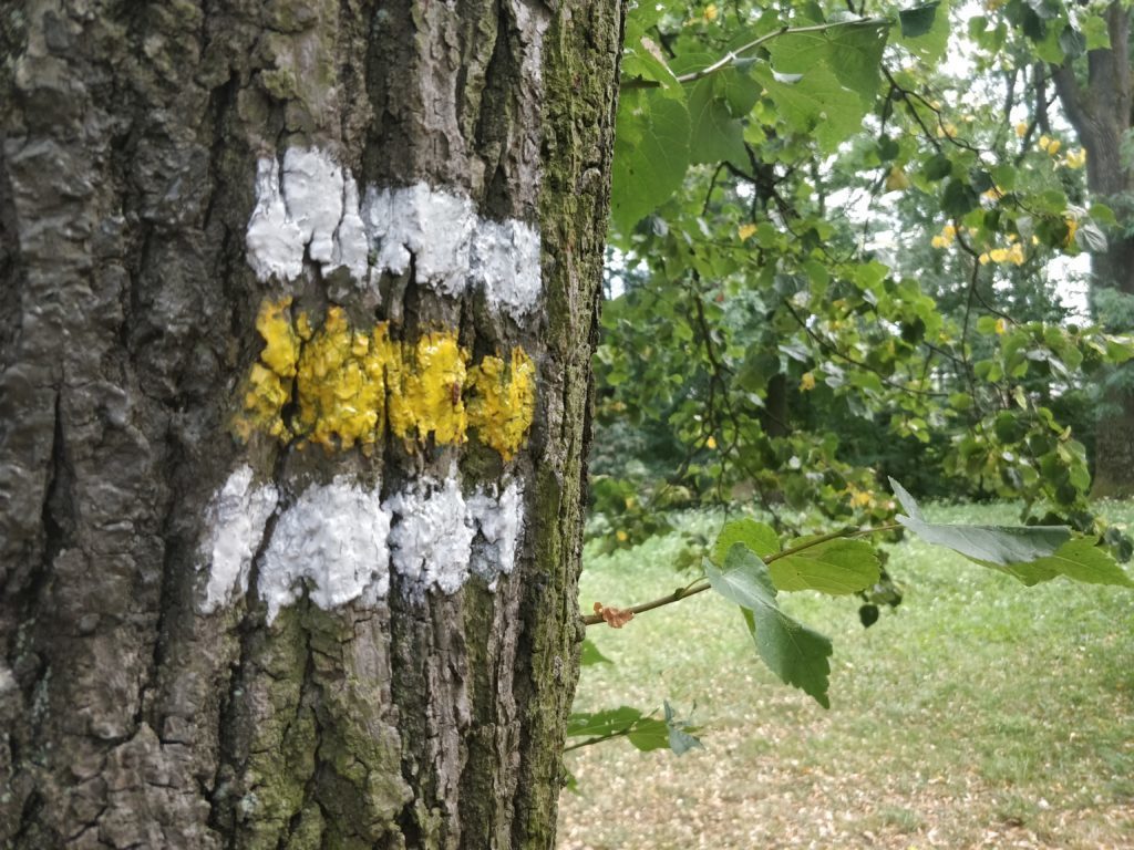 OnePlus 5 ukazkova fotografie 8