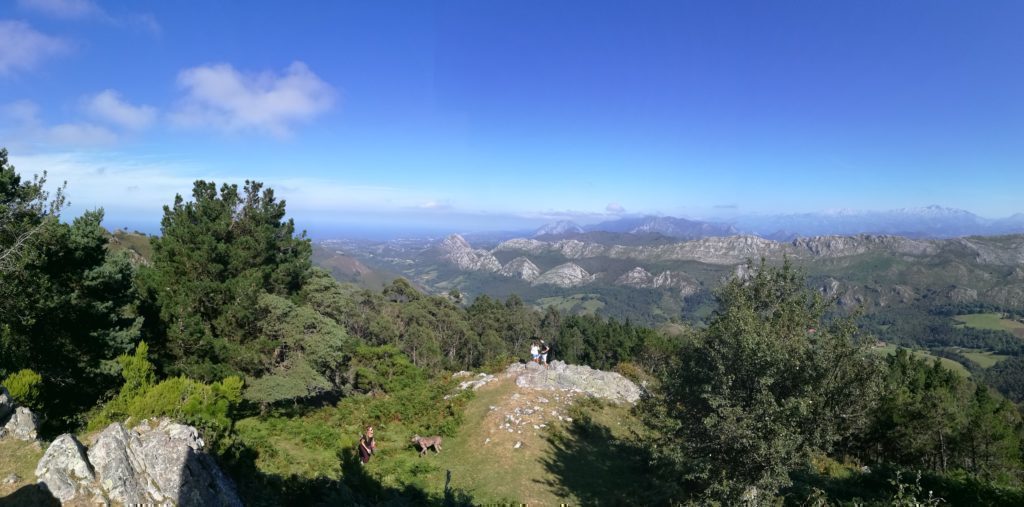 Honor 8 porizene fotorafie panorama 2