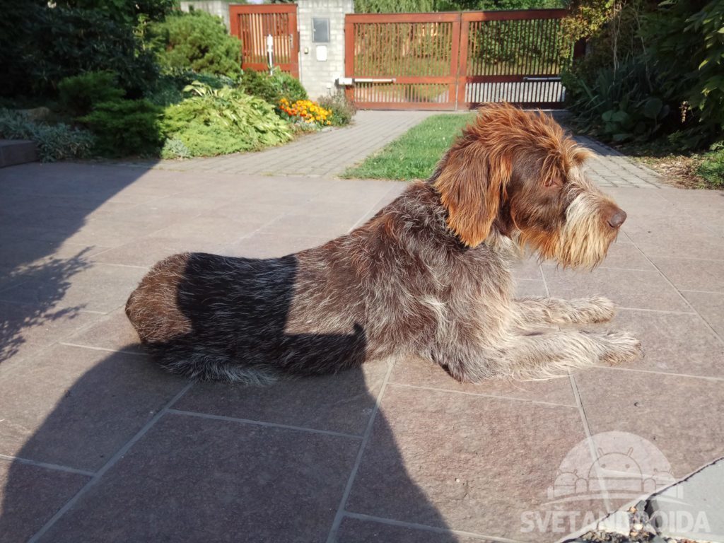 Xiaomi Redmi Note 4 porizene fotografie 1