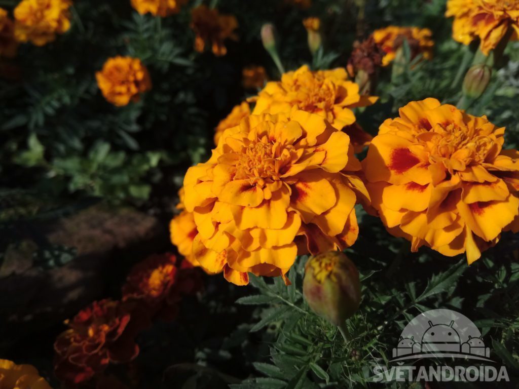 Xiaomi Redmi Note 4 porizene fotografie 2