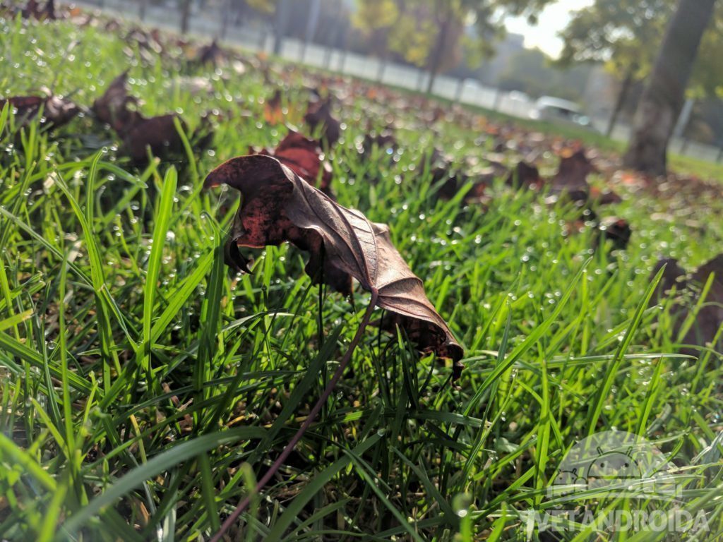 Recenze Google Pixel porizene fotografie dobre svetlo 3