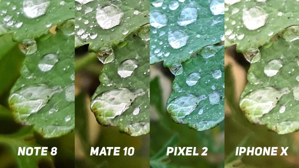 Foto test-list-2