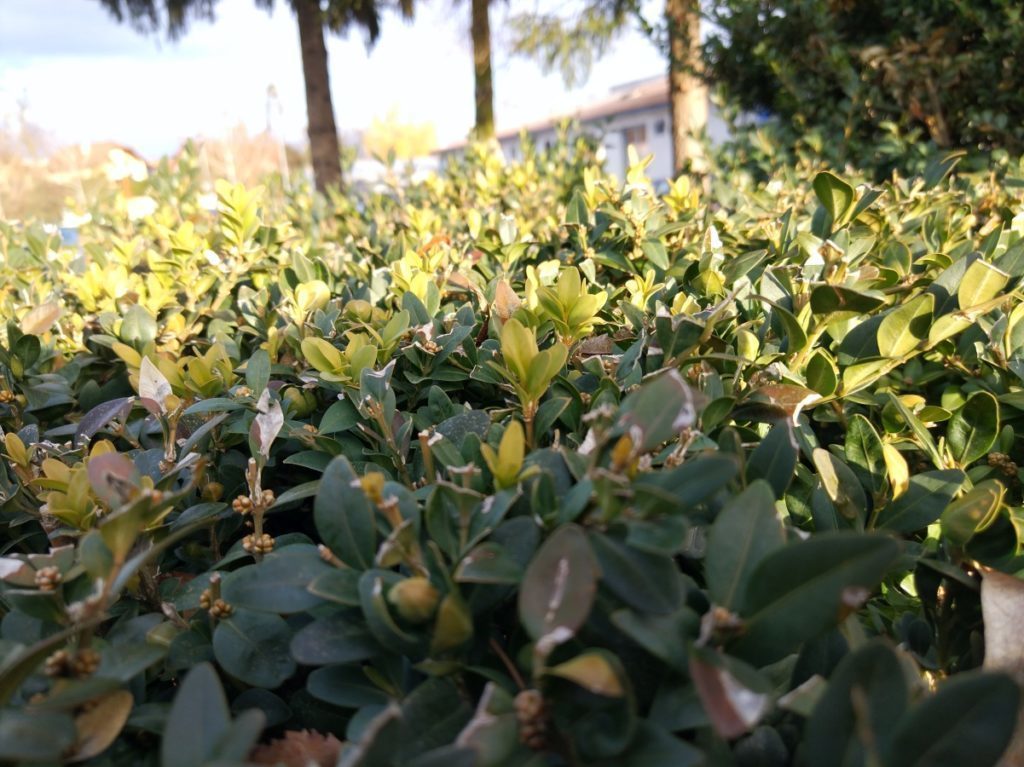 Xiaomi Mi Note 2 foto 5