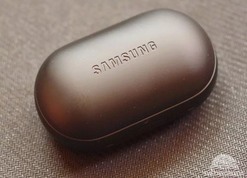 Samsung Gear IconX 2018 pouzdro 1