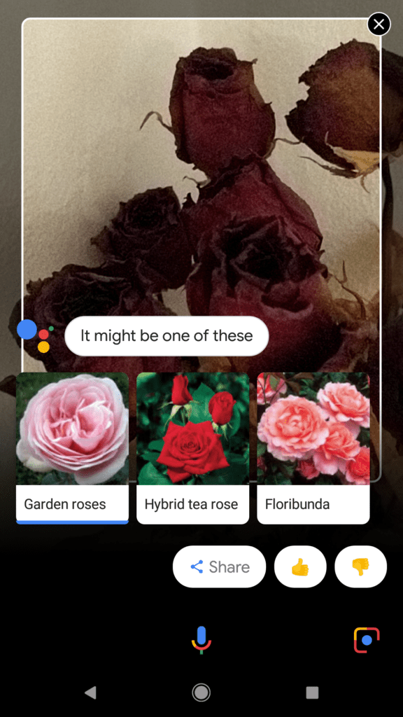Služba Google Lens 12