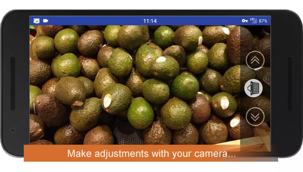 FreshSavvy 1