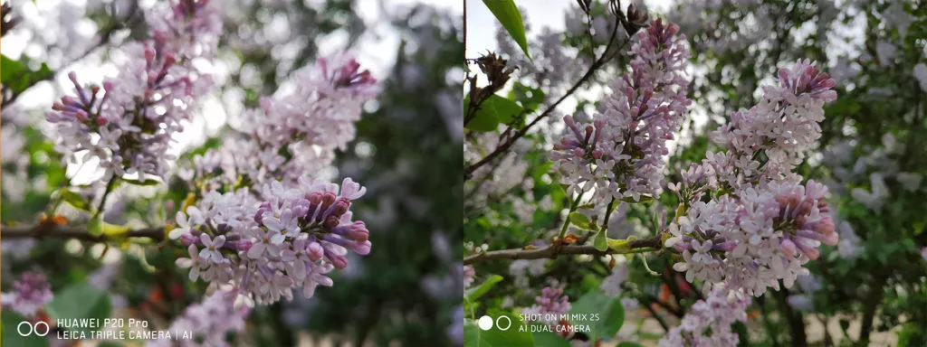 fototest xiaomi mi mix 2s detail