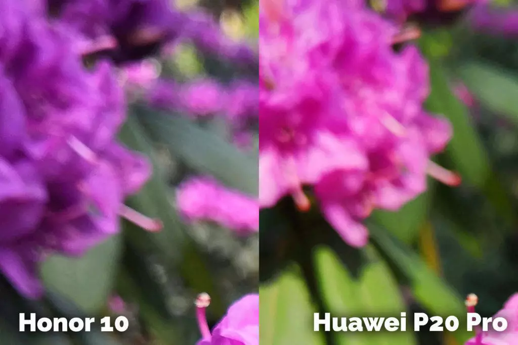 Honor 10 vs Huawei P20 Pro detail rostlina fototest