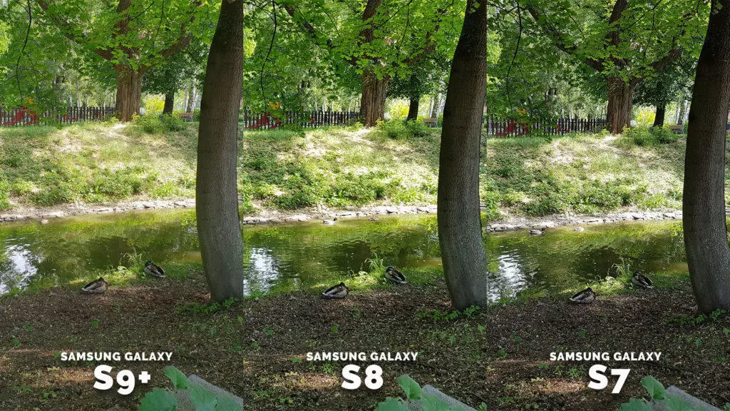 Fototest Samsung Galaxy - priroda