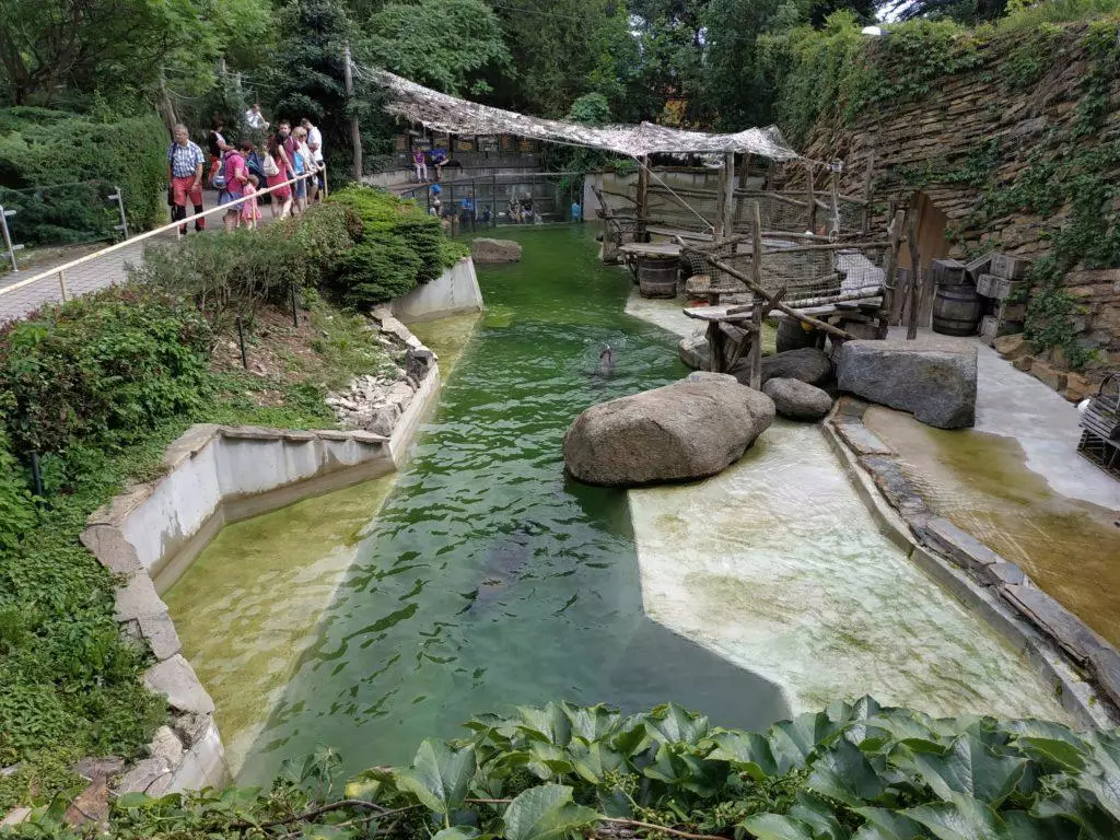 Xiaomi Redmi Note 5 foto zoo