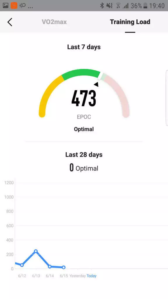 aplikace xiaomi amazfit stratos vo2max