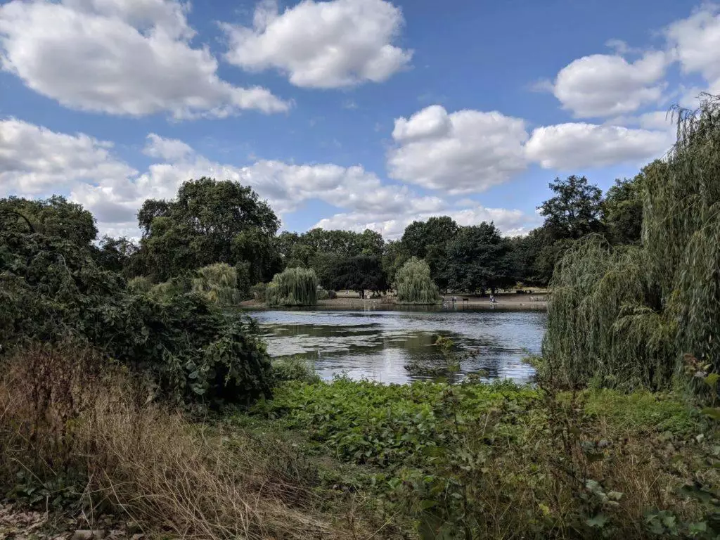 google pixel 3 xl test fotoaparatu
