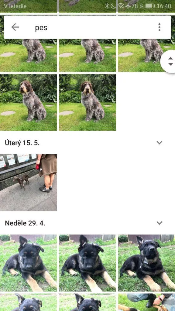 5 povedených aplikací Google Fotky