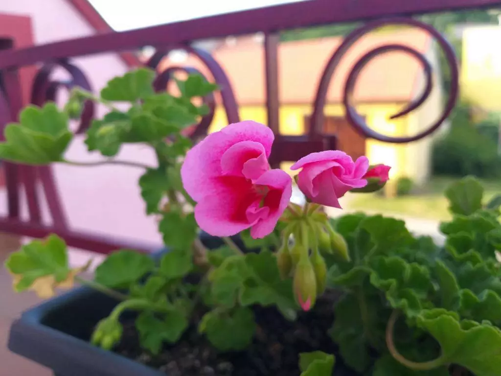 Samsung Galaxy A6 foto 2