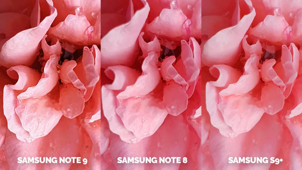 fotografie kytice ruzova note 9 vs note 8 vs galaxy s9