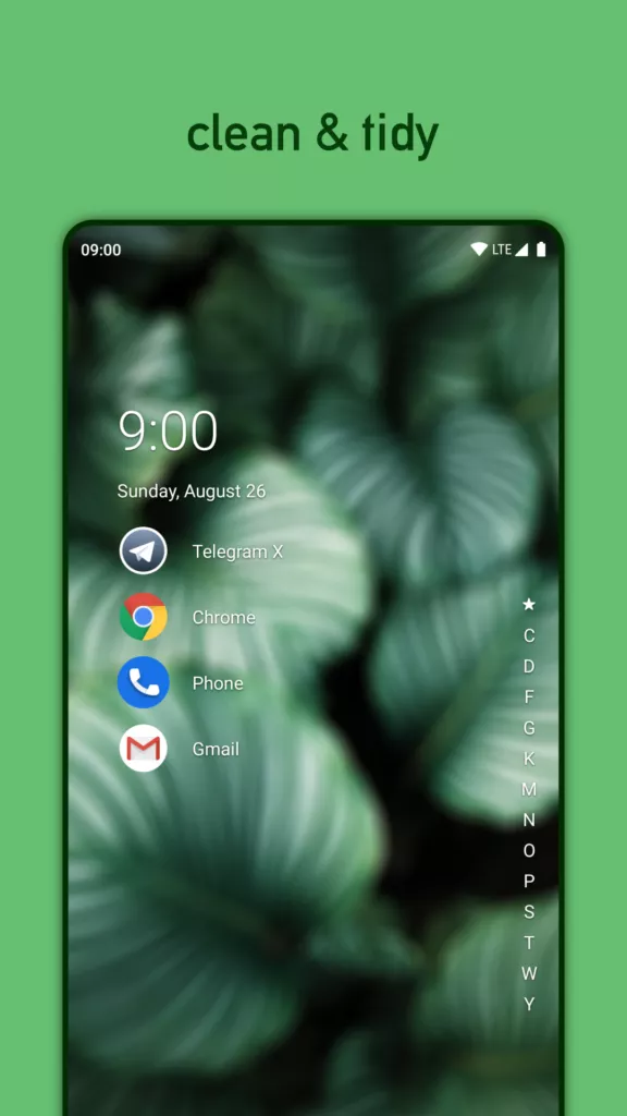 Niagara Launcher fresh clean 1