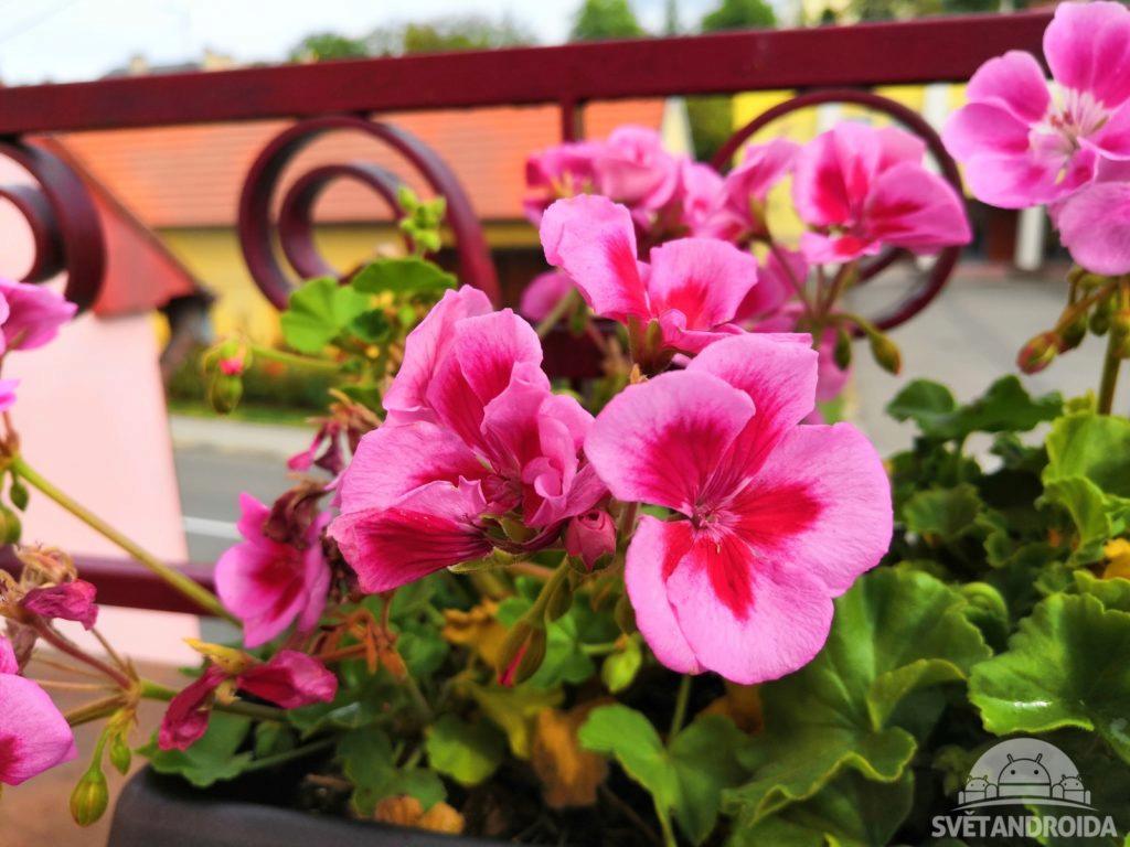 Huawei-Nova-3-foto-barevný
