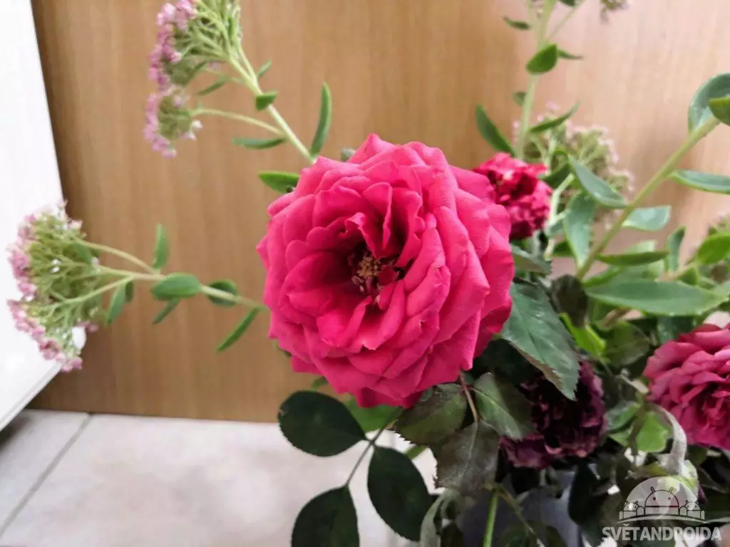 Foto bez využití AI Huawei Nova 3