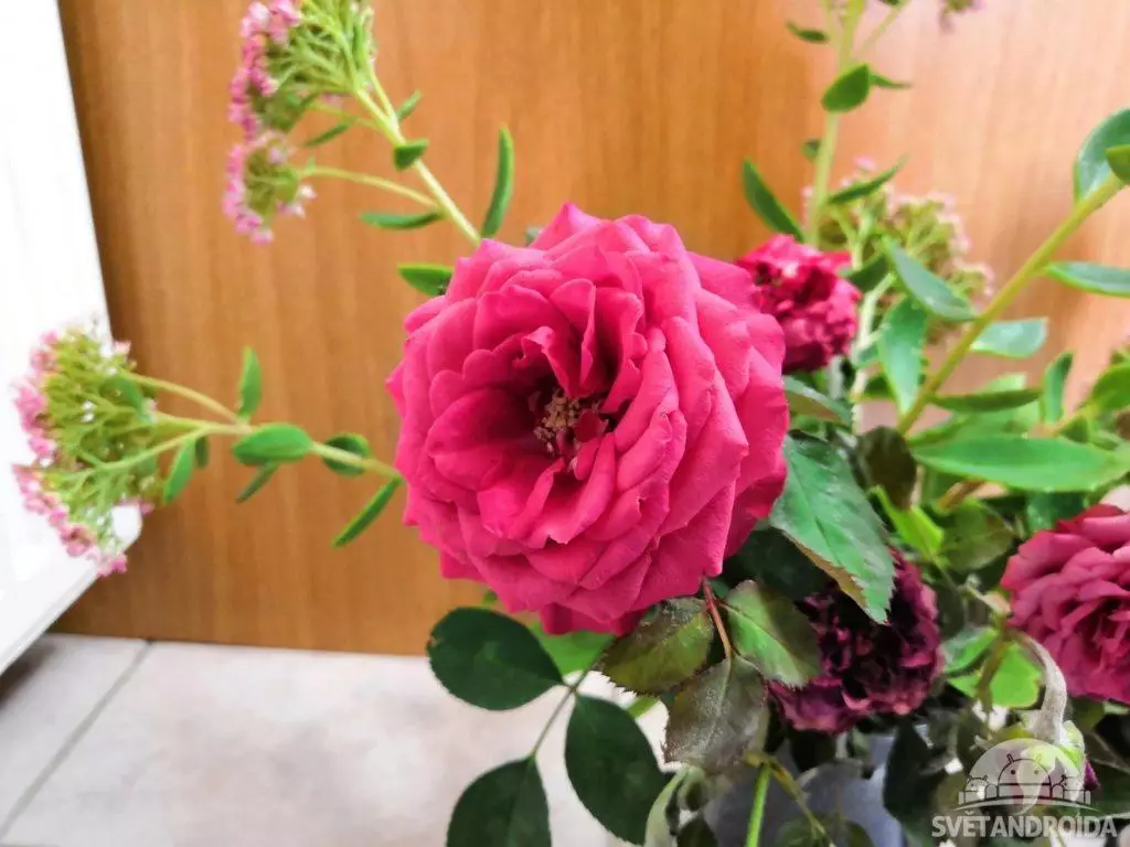 Huawei Nova 3 Foto s využitím AI