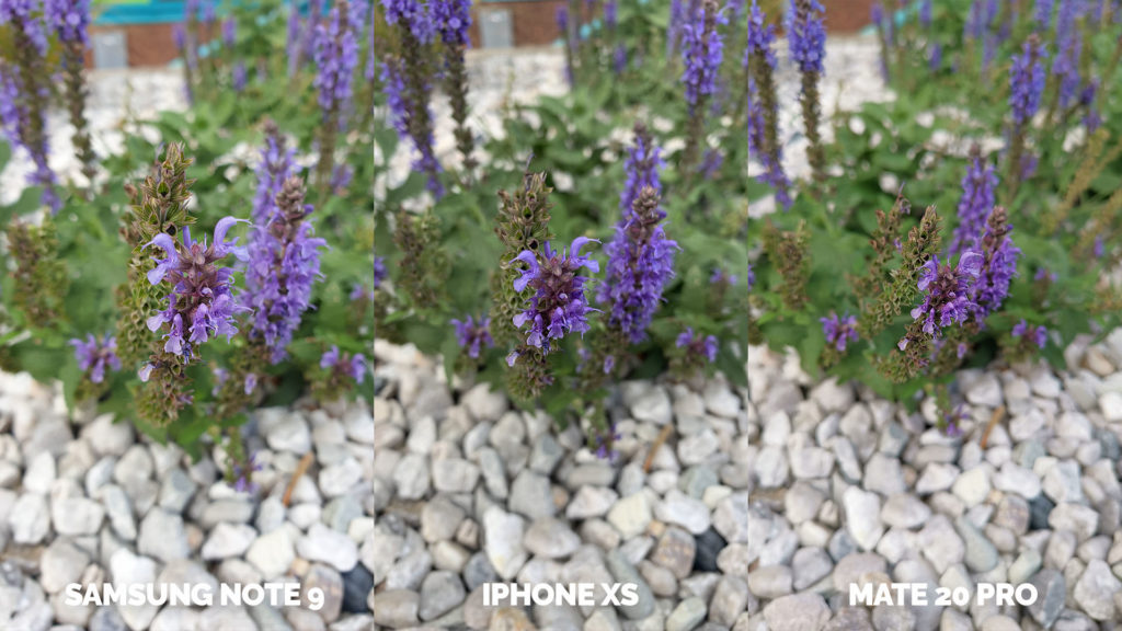 apple iphone xs vs huawei mate 20 pro vs samsung galaxy note 9 makro květina