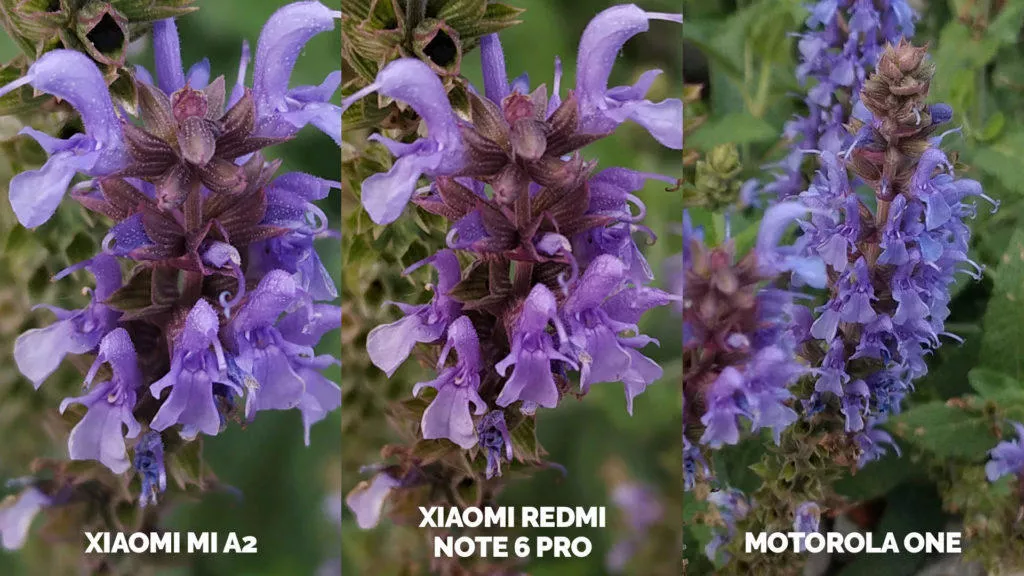 Fototest Xiaomi Mi A2 vs Xiaomi Redmi Note 6 Pro vs Motorola One makro detail