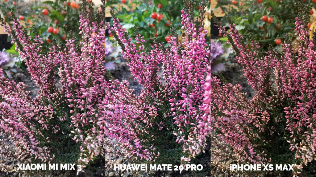 Fototest Xiaomi Mi Mix 3 vs Huawei Mate 20 Pro vs Apple iPhone XS Max makro