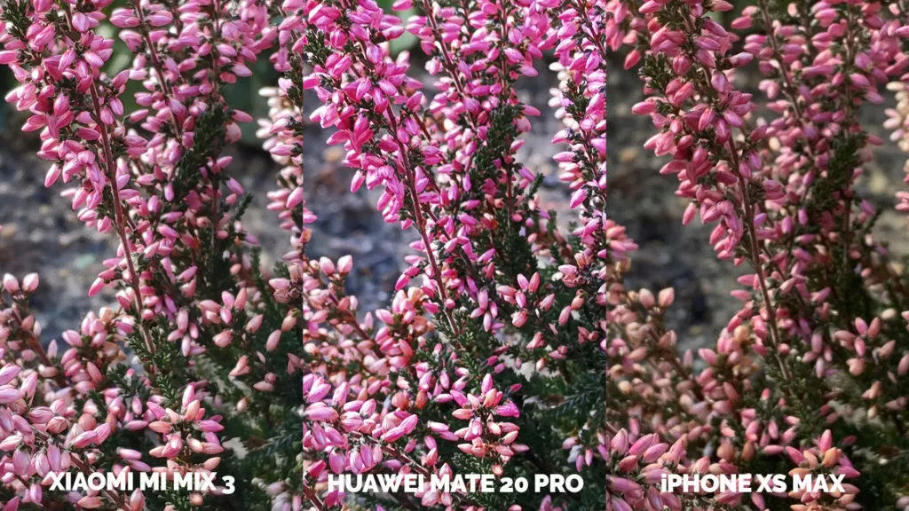 Fototest Xiaomi Mi Mix 3 vs Huawei Mate 20 Pro vs Apple iPhone XS Max makro detail