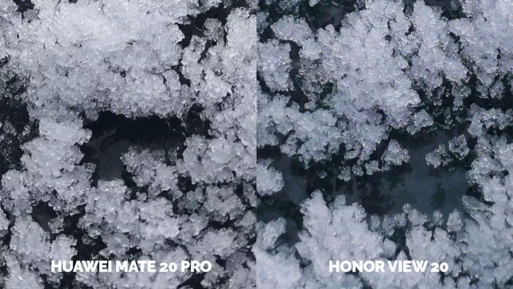 Fototest Honor View 20 vs Huawei Mate 20 Pro makro detail