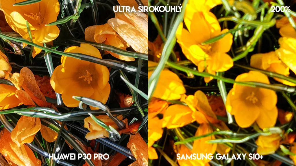 Fototest Huawei P30 Pro vs Samsung Galaxy S10 Plus květiny detail